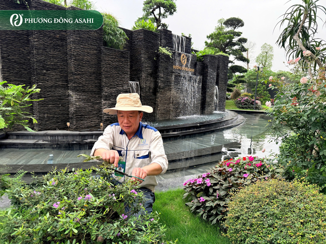 “Người gieo mầm xanh” tại Phương Đông Asahi