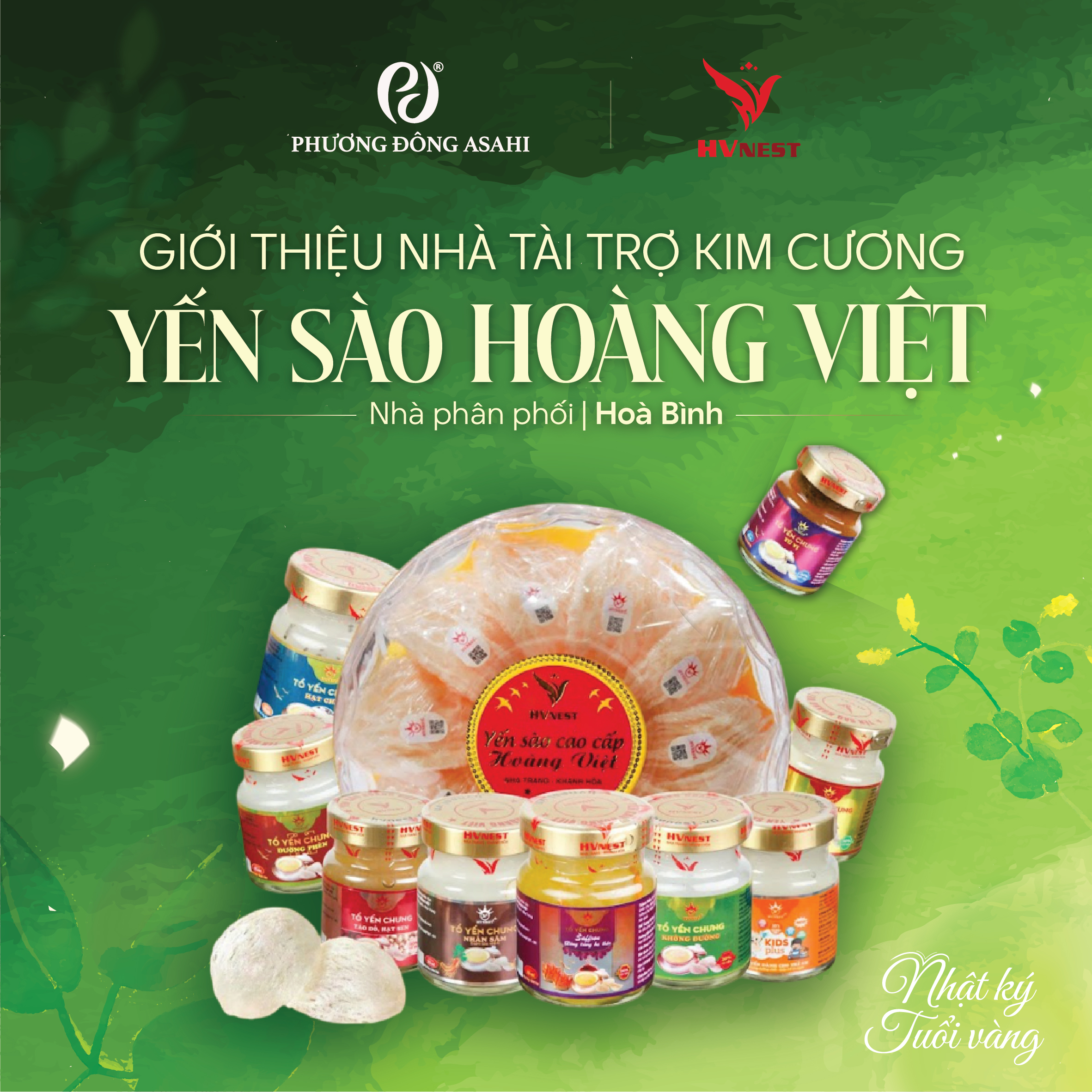 GIỚI THIỆU NHÀ TÀI TRỢ KIM CƯƠNG SỰ KIỆN “NHẬT KÝ TUỔI VÀNG”: YẾN SÀO HOÀNG VIỆT - NHÀ PHÂN PHỐI HÒA BÌNH
